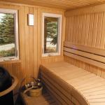 Helo, Finnleo, Best Sauna Prices, Custom Sauna Builders, Pre Built Sauna, Finnish Sauna, Infrared, Traditional Heater, Steam, Health Benefits, Weight Loss, Detoxification.;